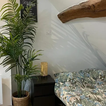 Calme Wilson Apartment *